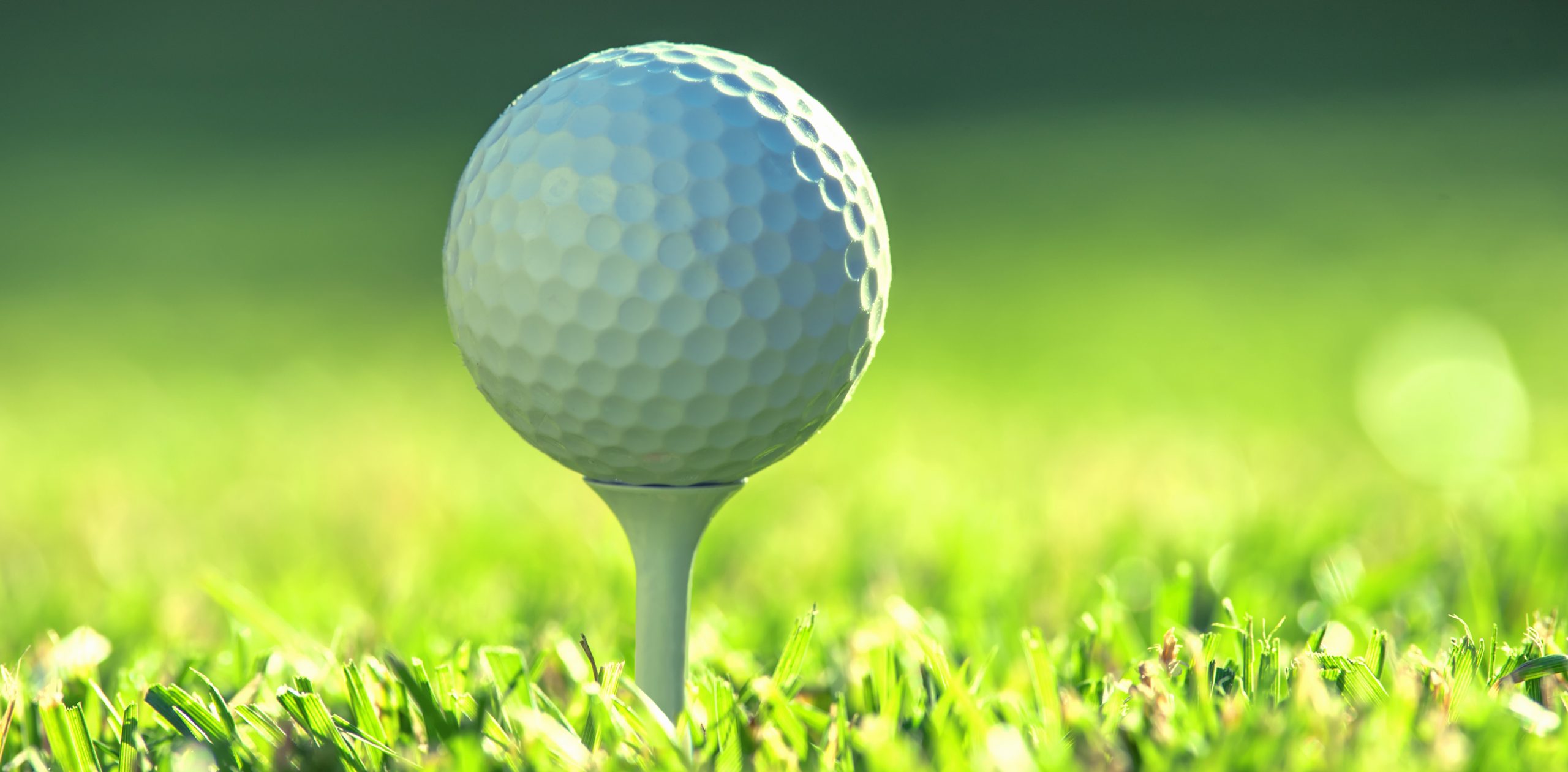 2024 Bonduel Bears Girls Golf Schedule – OnFocus