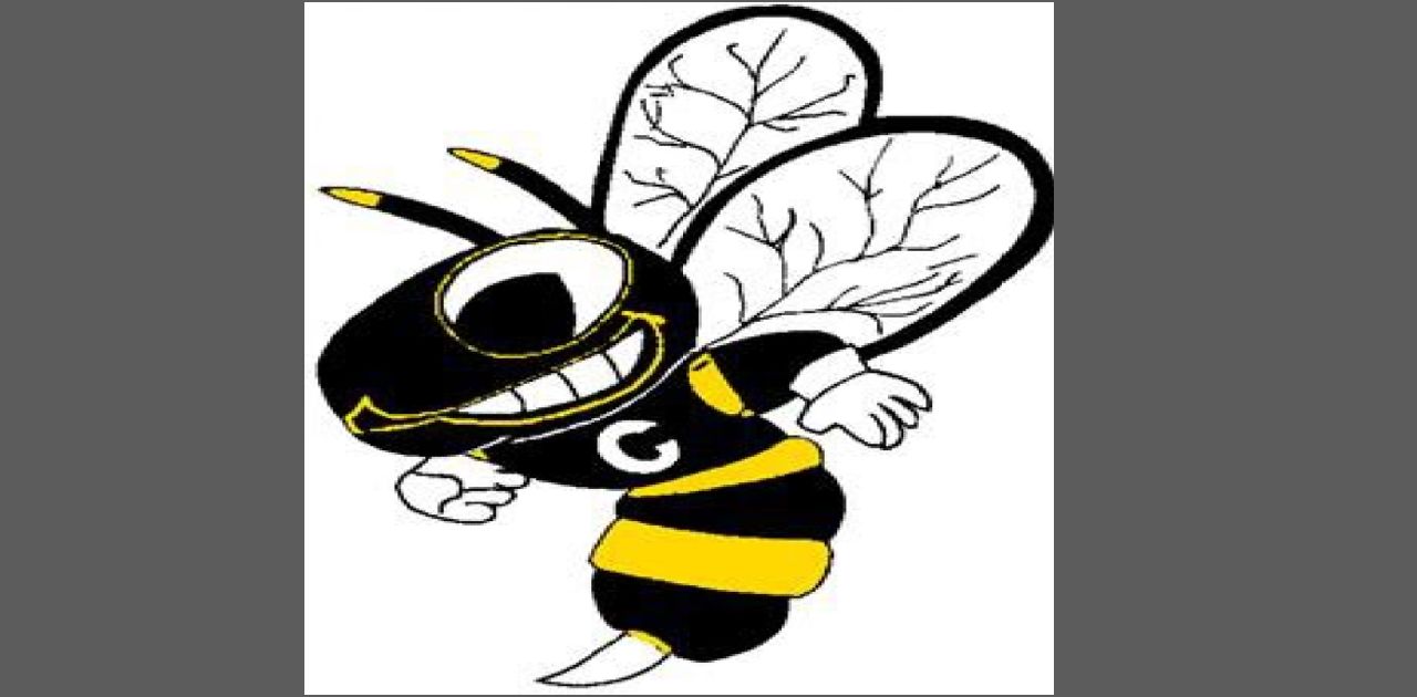 Cadott Hornets Volleyball Schedule 2024