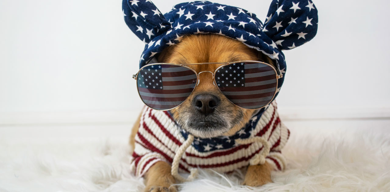 Dog 4th of july clearance clothes