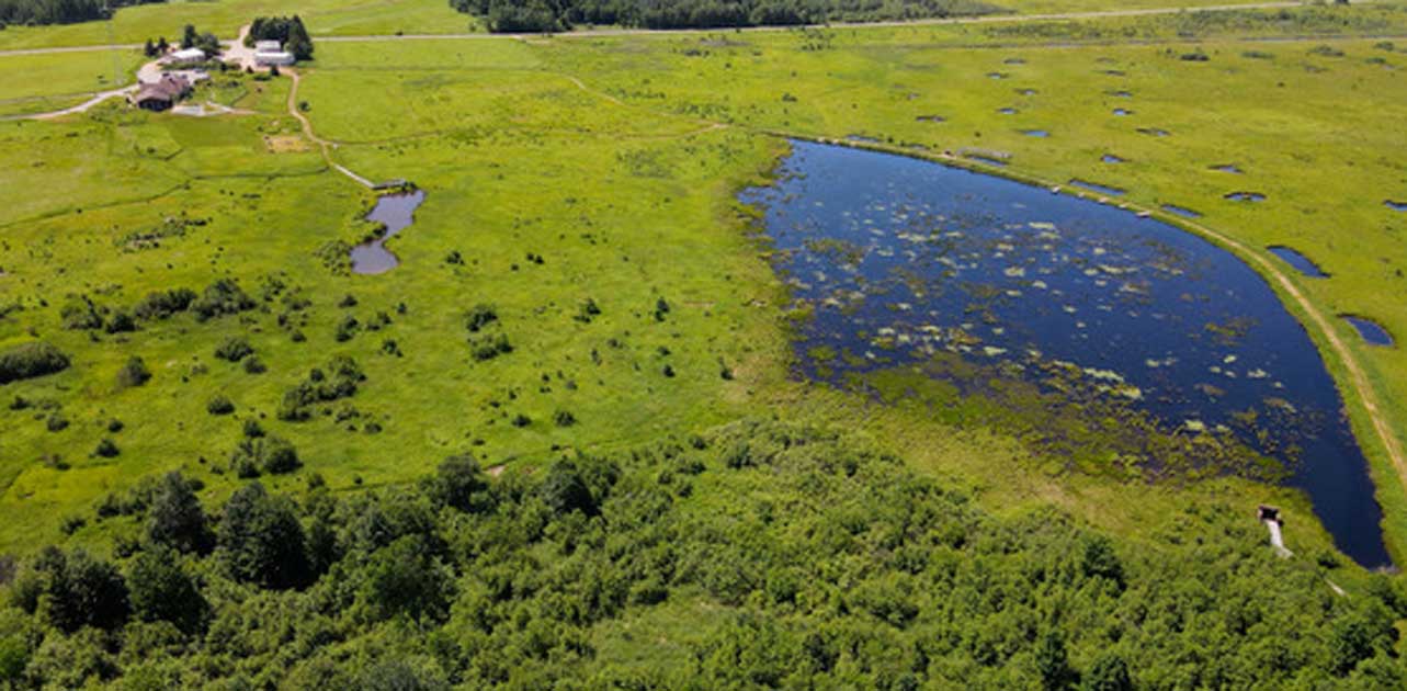 Public Invited to Celebrate Mead Wildlife Area 65th Anniversary - OnFocus